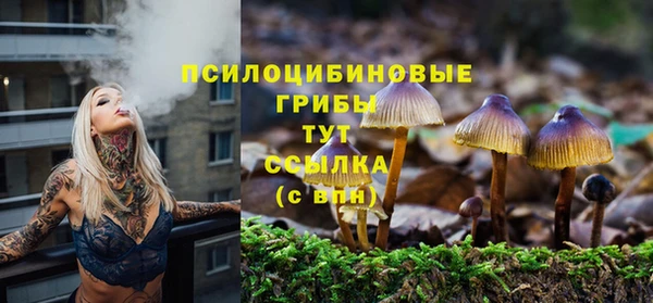 PSILOCYBIN Абдулино